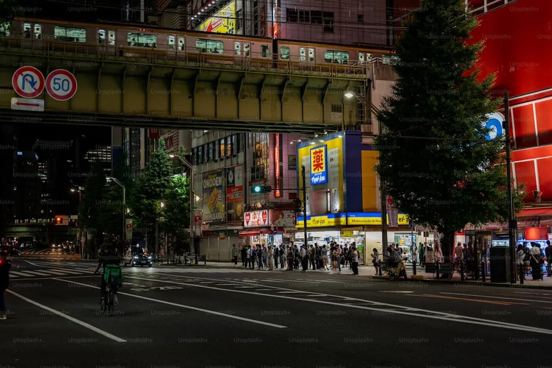 Tokyo on a Budget: How to Visit for Under $100/Day
